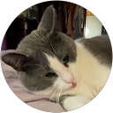 soleia m profile picture